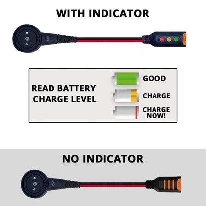 Ferrari battery charger lights